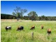 428 Brookman Road, Meadows SA 5201