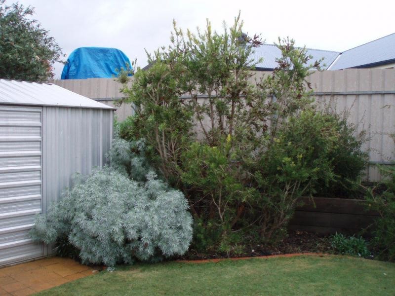 9b Penny Street, Mount Barker SA 5251