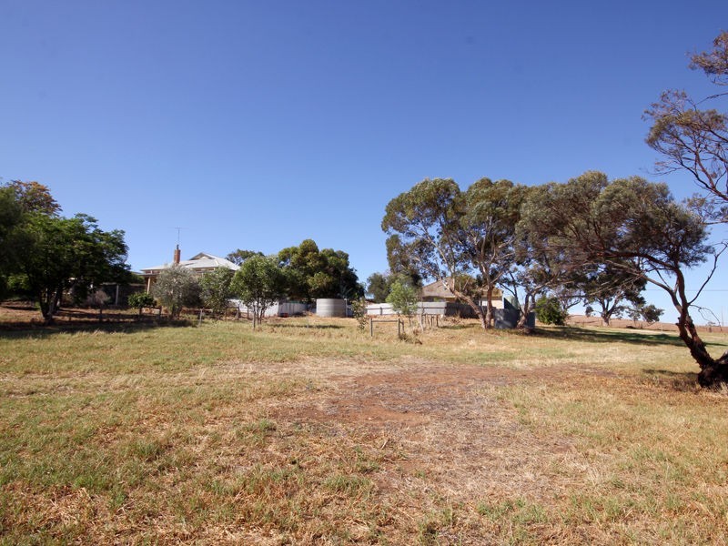 63 Carter Road, Murray Bridge SA 5253