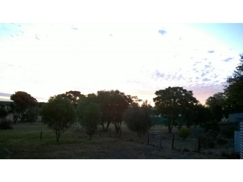 63 Carter Road, Murray Bridge SA 5253