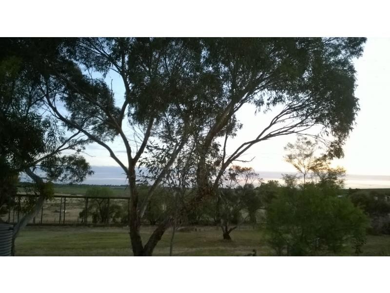 63 Carter Road, Murray Bridge SA 5253