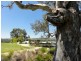 74 Douglas Drive, Mount Barker SA 5251