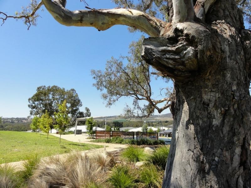 74 Douglas Drive, Mount Barker SA 5251