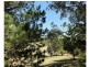 47 Debneys Road, Norton Summit SA 5136