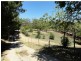 47 Debneys Road, Norton Summit SA 5136