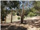 47 Debneys Road, Norton Summit SA 5136