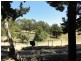 47 Debneys Road, Norton Summit SA 5136