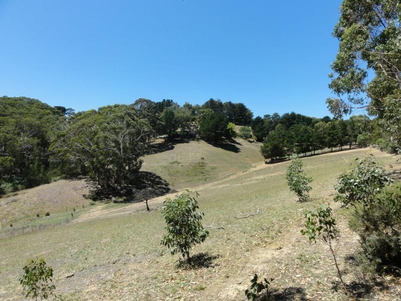 47 Debneys Road, Norton Summit SA 5136