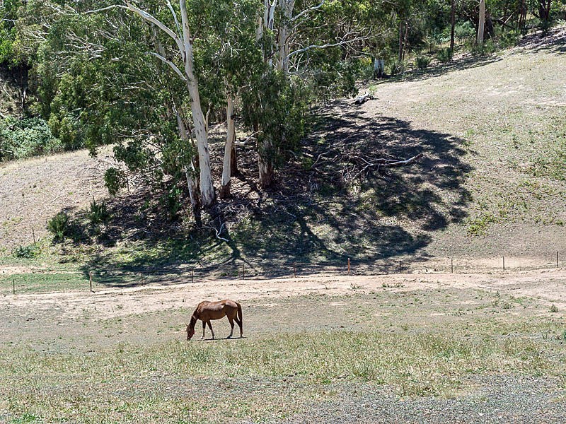47 Debneys Road, Norton Summit SA 5136