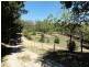 47 Debneys Road, Norton Summit SA 5136