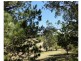 47 Debneys Road, Norton Summit SA 5136