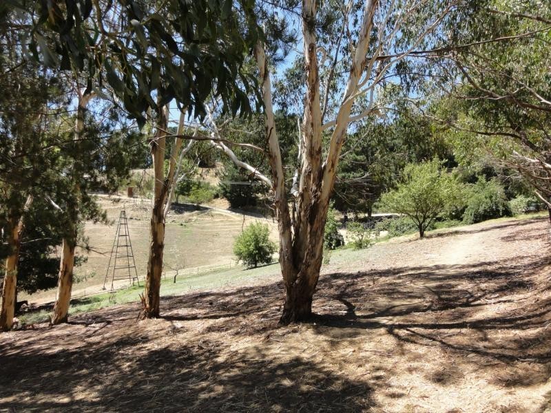 47 Debneys Road, Norton Summit SA 5136