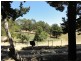47 Debneys Road, Norton Summit SA 5136