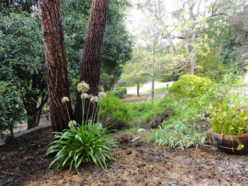 43 First Avenue, Bridgewater SA 5155