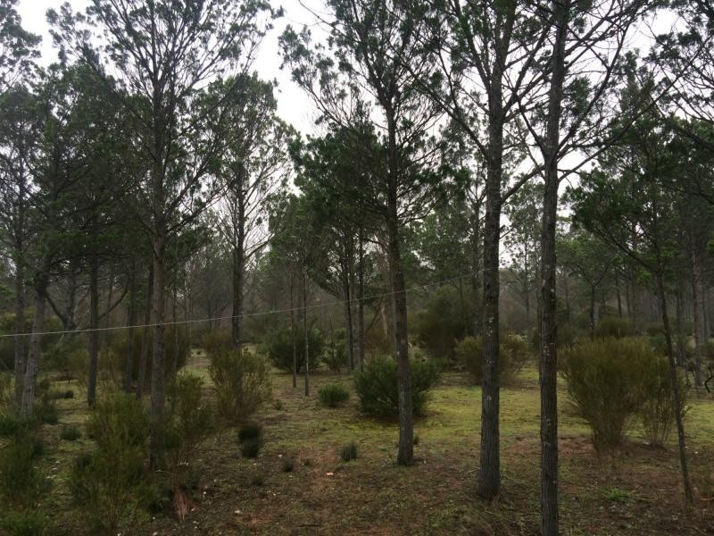 Lot 17/906 Ferries McDonald Road, Monarto South SA 5254