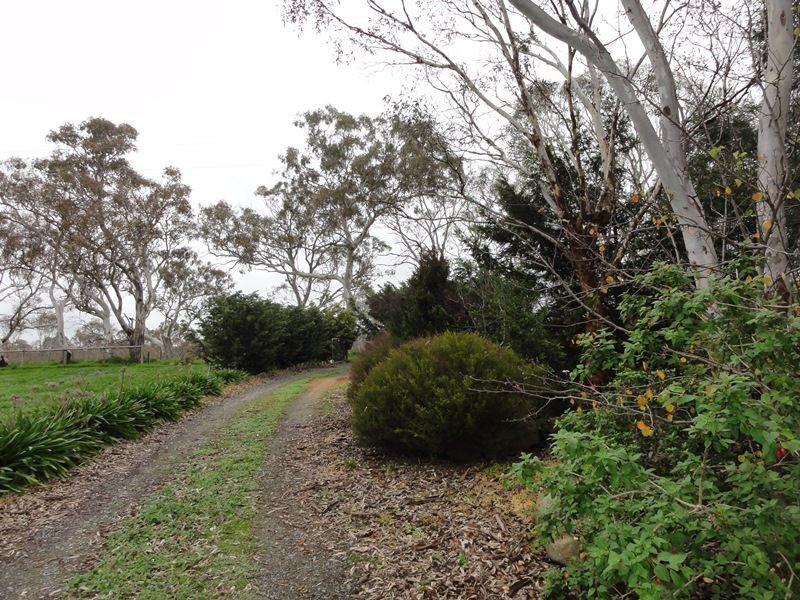 55 Jury Road, Brukunga SA 5252
