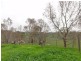 55 Jury Road, Brukunga SA 5252