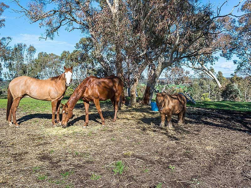 2515 Strathalbyn Rd, Macclesfield SA 5153
