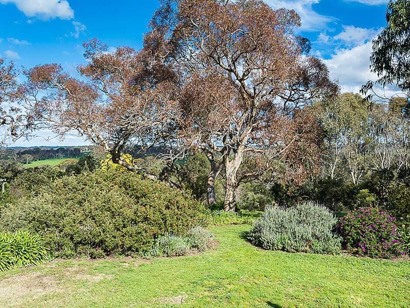 2515 Strathalbyn Rd, Macclesfield SA 5153