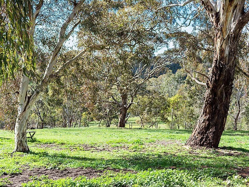 2515 Strathalbyn Rd, Macclesfield SA 5153