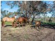 2515 Strathalbyn Rd, Macclesfield SA 5153