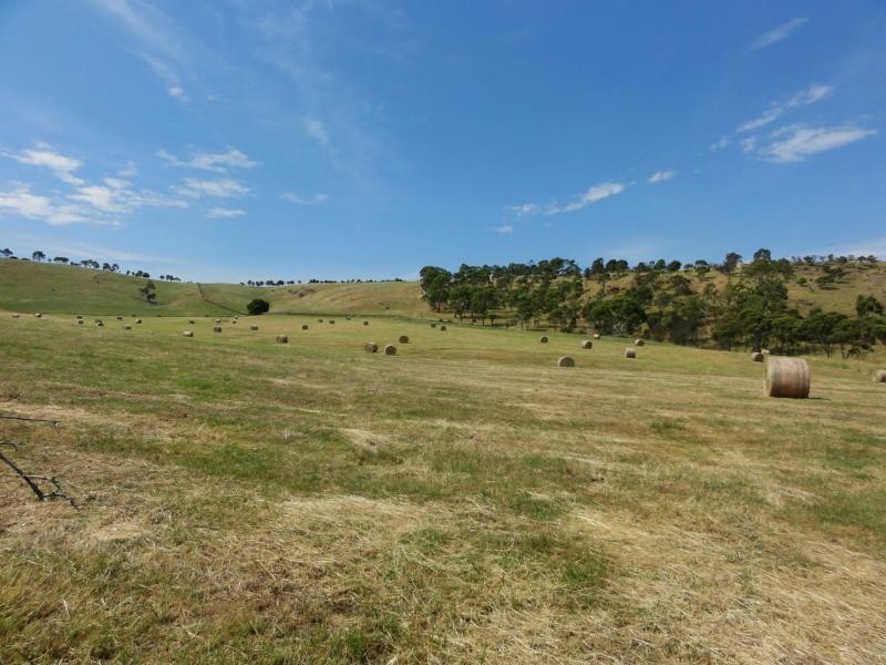 359 Scrubby Hill Road, Wistow SA 5251