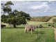 359 Scrubby Hill Road, Wistow SA 5251