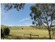 359 Scrubby Hill Road, Wistow SA 5251