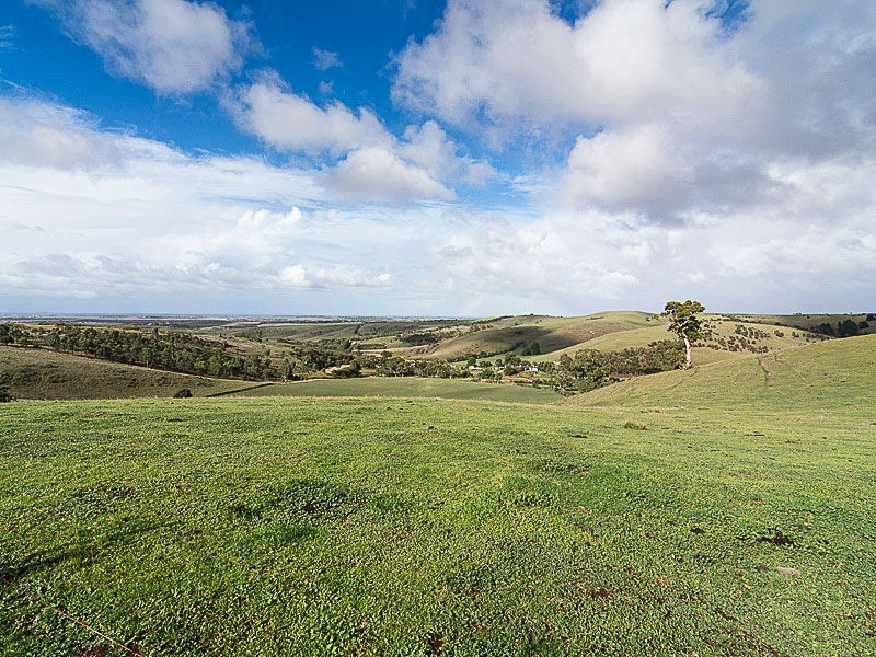 359 Scrubby Hill Road, Wistow SA 5251