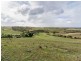 359 Scrubby Hill Road, Wistow SA 5251