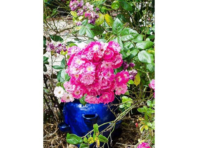 36 Osborne Road, Ashton SA 5137