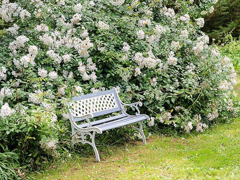 36 Osborne Road, Ashton SA 5137