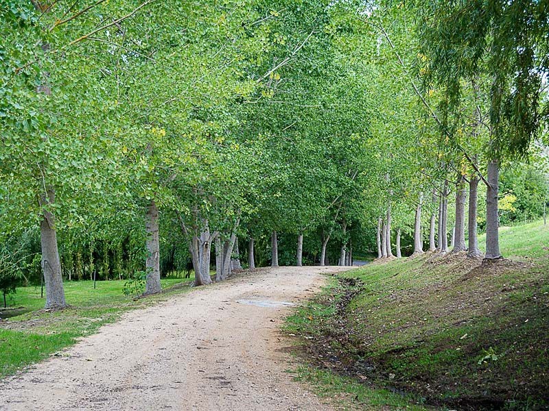 143 Boyle Swamp Road, Mylor SA 5153