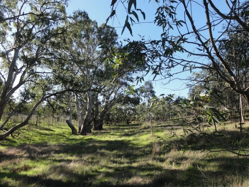 69 Vale Road ( Via Wistow), Highland Valley SA 5255