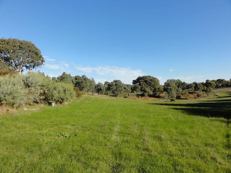 69 Vale Road ( Via Wistow), Highland Valley SA 5255
