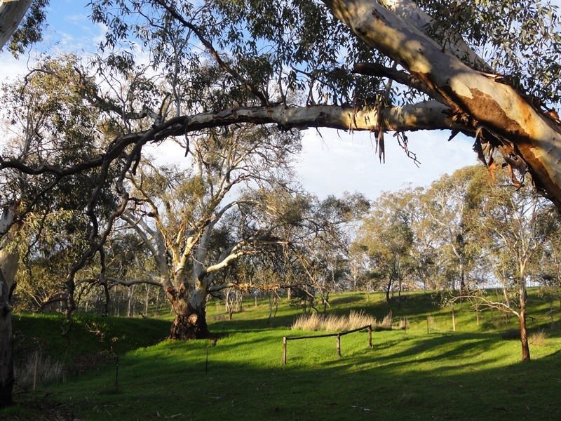 69 Vale Road ( Via Wistow), Highland Valley SA 5255