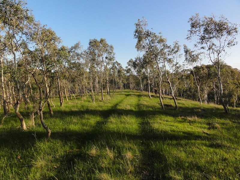 69 Vale Road ( Via Wistow), Highland Valley SA 5255