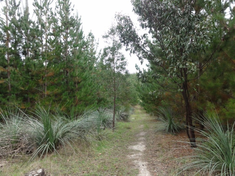 Lot 39 Knotts Hill Road St, Kangarilla SA 5157