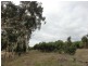 Lot 39 Knotts Hill Road St, Kangarilla SA 5157