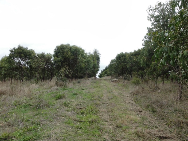 Lot 39 Knotts Hill Road St, Kangarilla SA 5157
