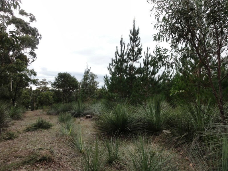 Lot 39 Knotts Hill Road St, Kangarilla SA 5157