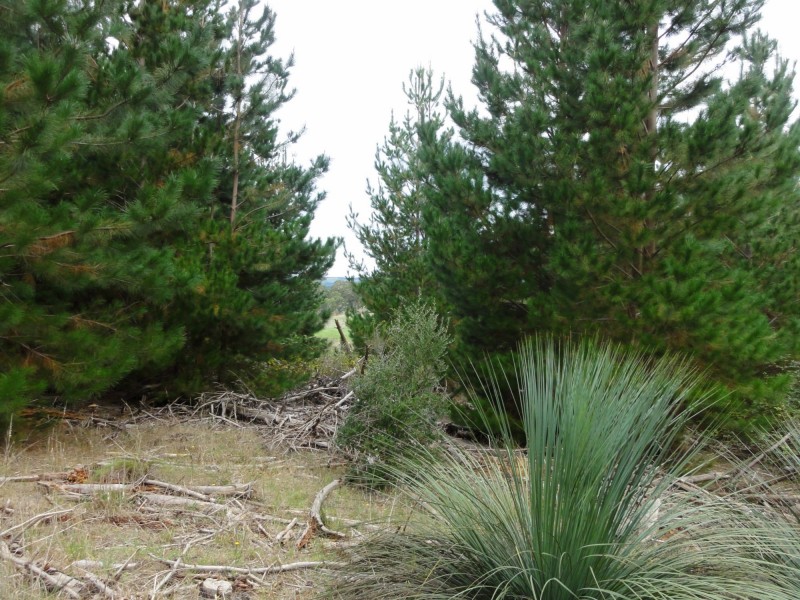 Lot 39 Knotts Hill Road St, Kangarilla SA 5157