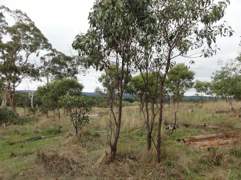 Lot 39 Knotts Hill Road St, Kangarilla SA 5157