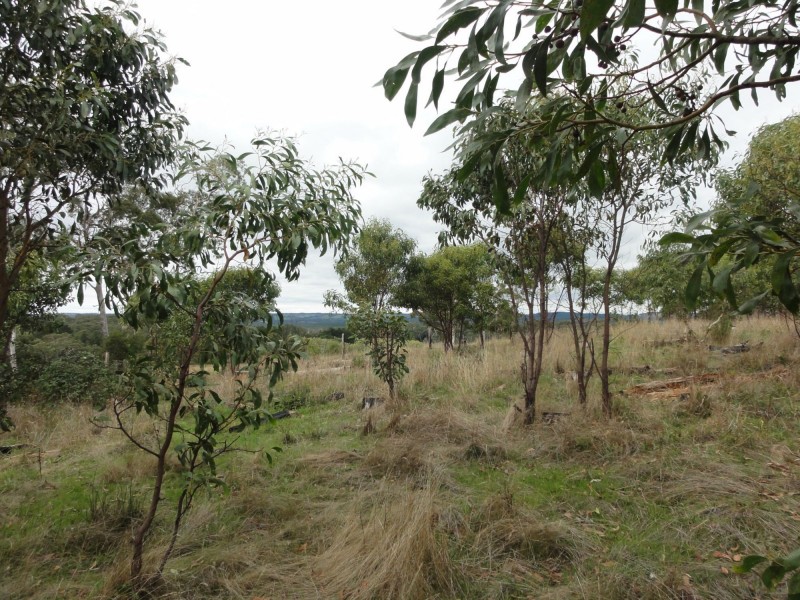 Lot 39 Knotts Hill Road St, Kangarilla SA 5157
