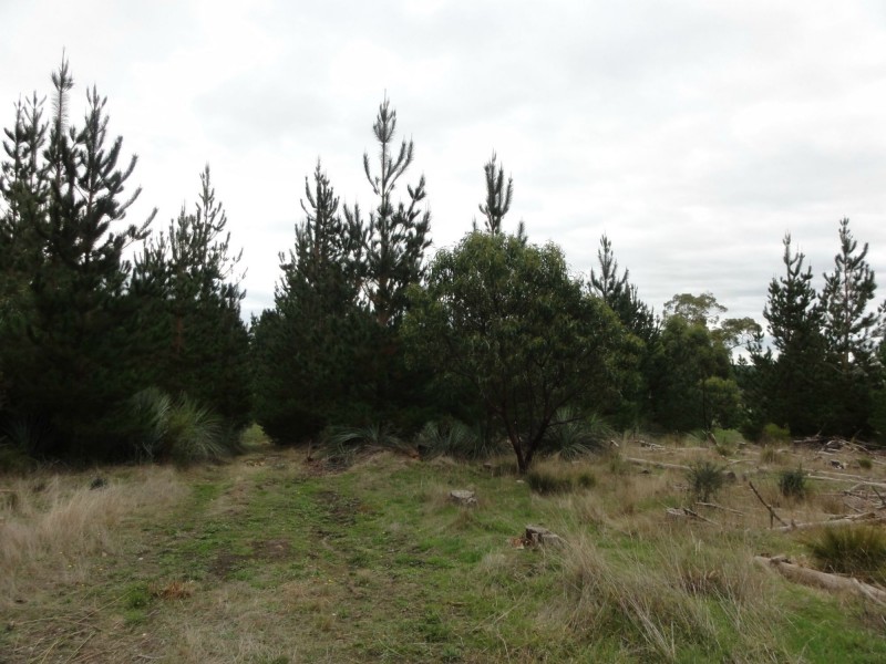 Lot 39 Knotts Hill Road St, Kangarilla SA 5157