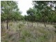 Lot 39 Knotts Hill Road St, Kangarilla SA 5157