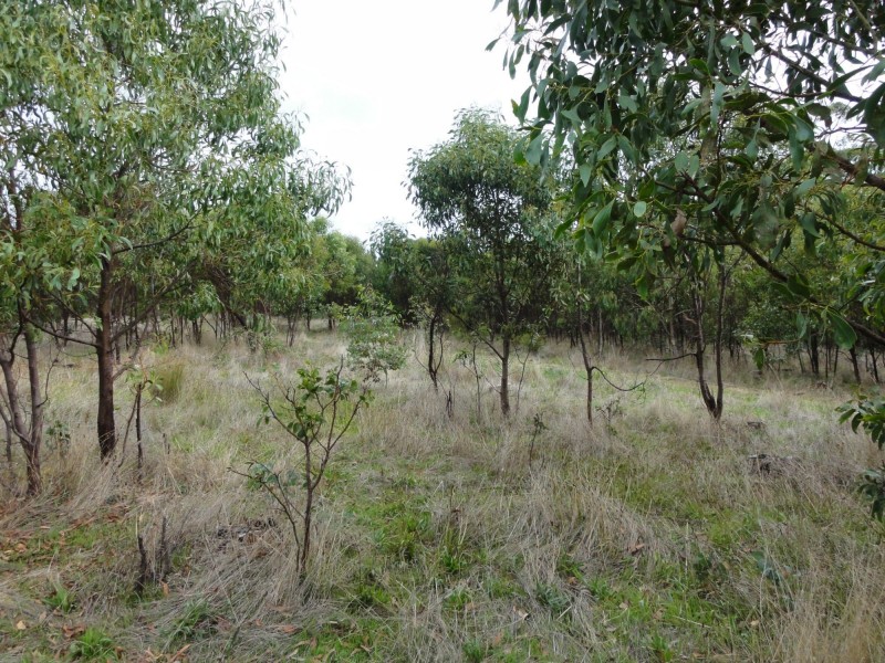 Lot 39 Knotts Hill Road St, Kangarilla SA 5157