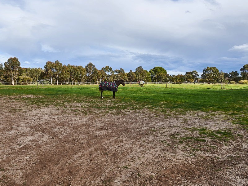 32 Matrice Court, Strathalbyn SA 5255