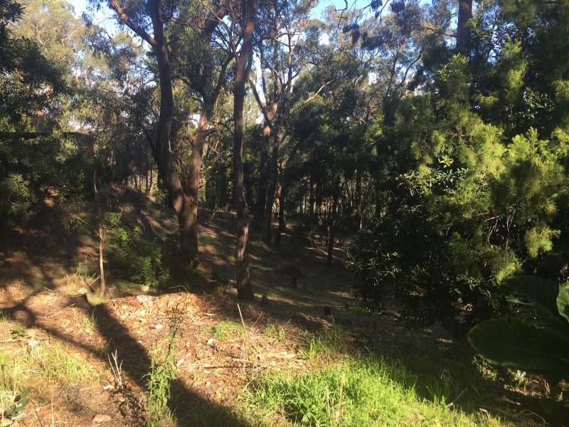 10 Shurdington Road, Crafers SA 5152