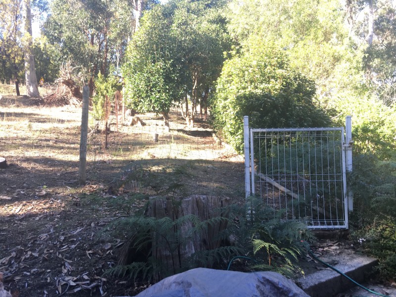 10 Shurdington Road, Crafers SA 5152